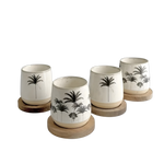 مجموعة أكواب سيراميك على شكل شجرة نخيل